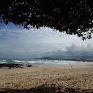 Reise Hunter Galapagos Isabela Strand2