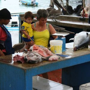 Reise Hunter Galapagos Santa Cruz Fischmarkt