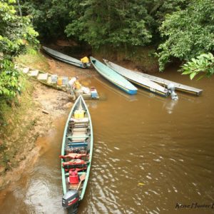 Reise Hunter Ecuador Amazonas CuyabenoAnkunft