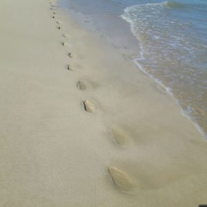 Reise Hunter Galapagos Isabela StrandFüße