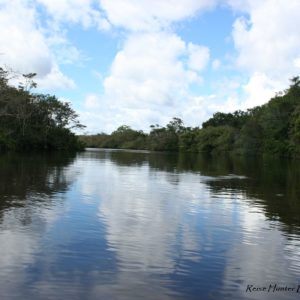 Reise Hunter Amazonas Cuyabeno Fluss