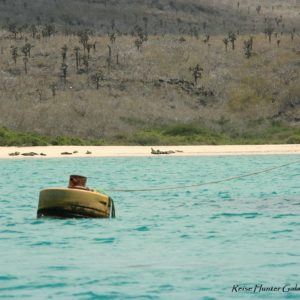 Reise Hunter Galapagos Santa Fe Bucht