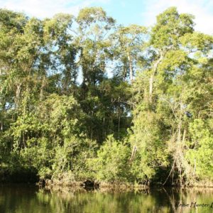 Reise Hunter Ecuador Amazonas Regenwald