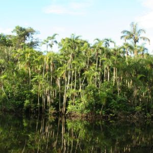 Reise Hunter Ecuador Amazonas Regenwald2