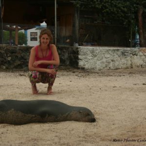 Reise Hunter Galapagos Seelöwe J