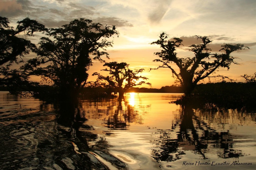 Reise Hunter Amazonas Sonnenuntergang