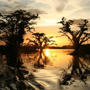 Reise Hunter Amazonas Sonnenuntergang