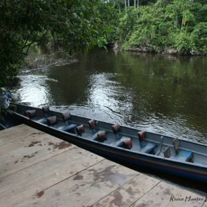 Reise Hunter Amazonas LodgeTaxi