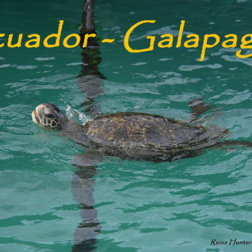 Ecuador – Galapagos