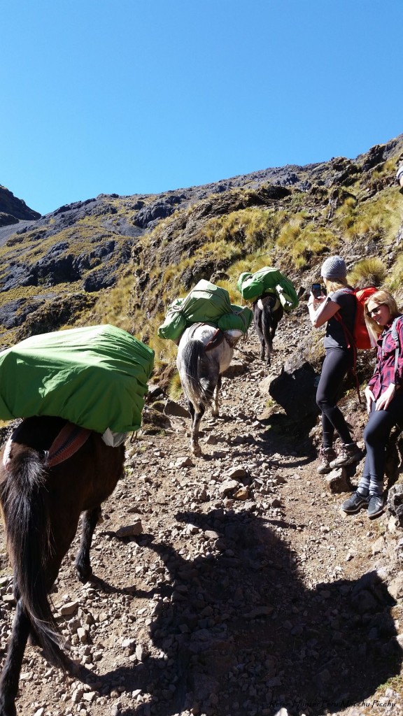 Reise Hunter Peru Lares Trek Tag 2 Trägermulis