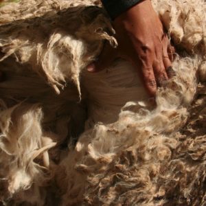 Reise Hunter Cusco Alpaka Wolle