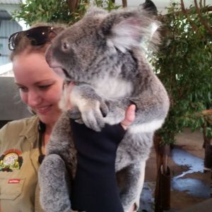 Reise Hunter Australien Lone Pine Koalashow
