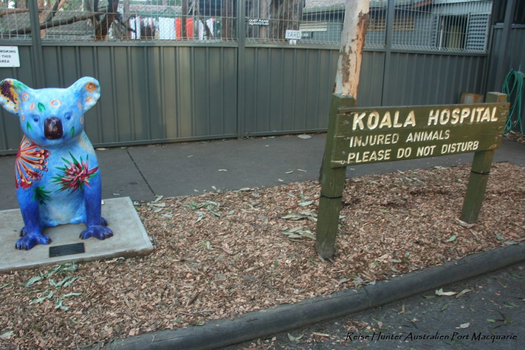Reise Hunter Australien Port Macquarie Koala Hospital Schild2