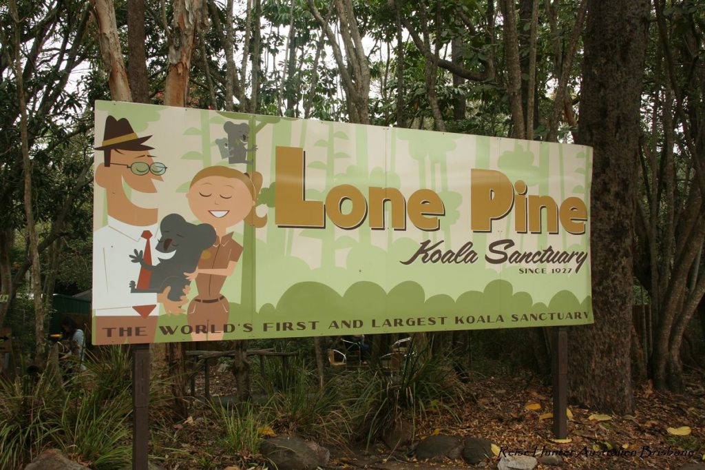 Reise Hunter Australien Lone Pine Sactary