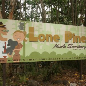 Reise Hunter Australien Lone Pine Sactary