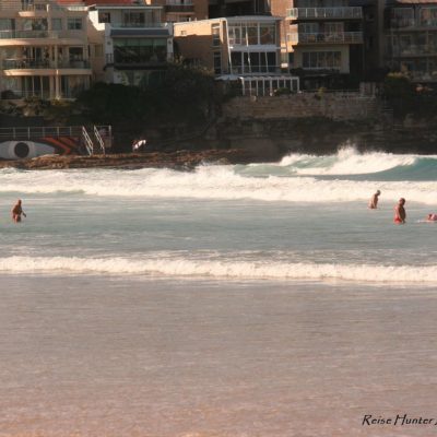 Reise Hunter Australien Sydney Bondi Beach Renterschwimmen