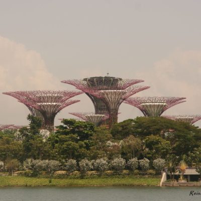 Reise Hunter Singapur Super Trees 2