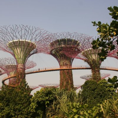 Reise Hunter Singapur Super Trees 8