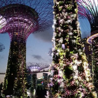 ´Reise Hunter Singapur Super Trees Show 6