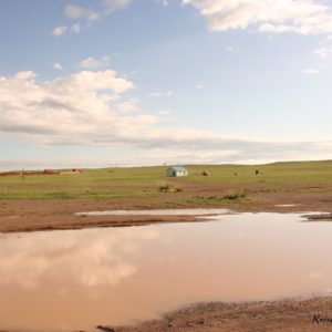 Reise Hunter Mongolei Tankstelle